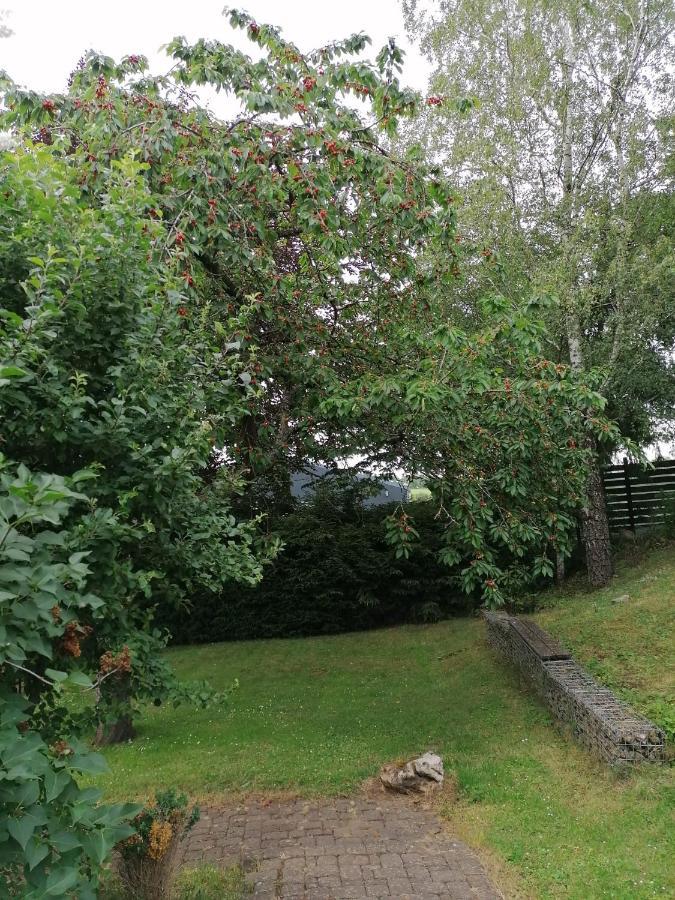 Ferienhaus In Der Eifel Kall 外观 照片
